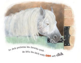 A Horse Named Jack Book