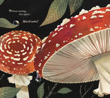 Mushroom Rain Book