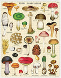 Mushrooms 1,000 Piece Puzzle