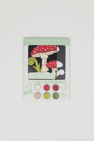 Fly Agaric Mushrooms Paint By Number Mini Kit