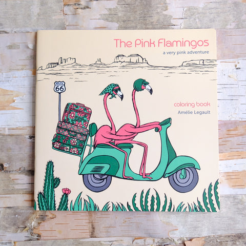 The Pink Flamingos A Very Pink Adventure