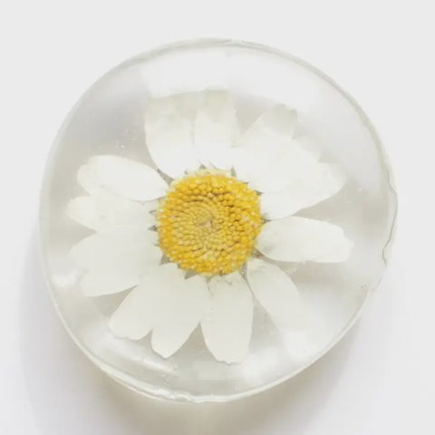 White Daisy Flower Magnet